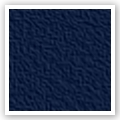 Sargasso